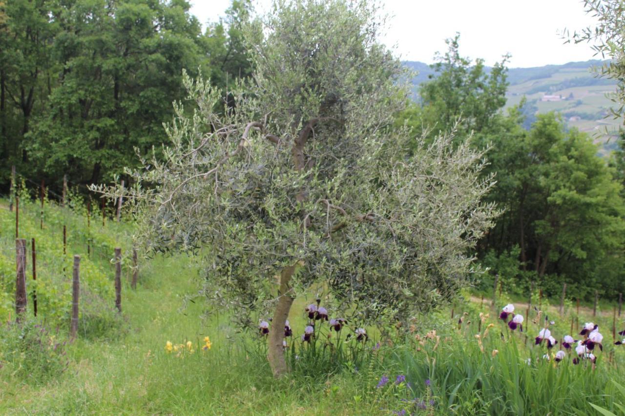 Agriturismo La Rovere Cossano Belbo Zewnętrze zdjęcie