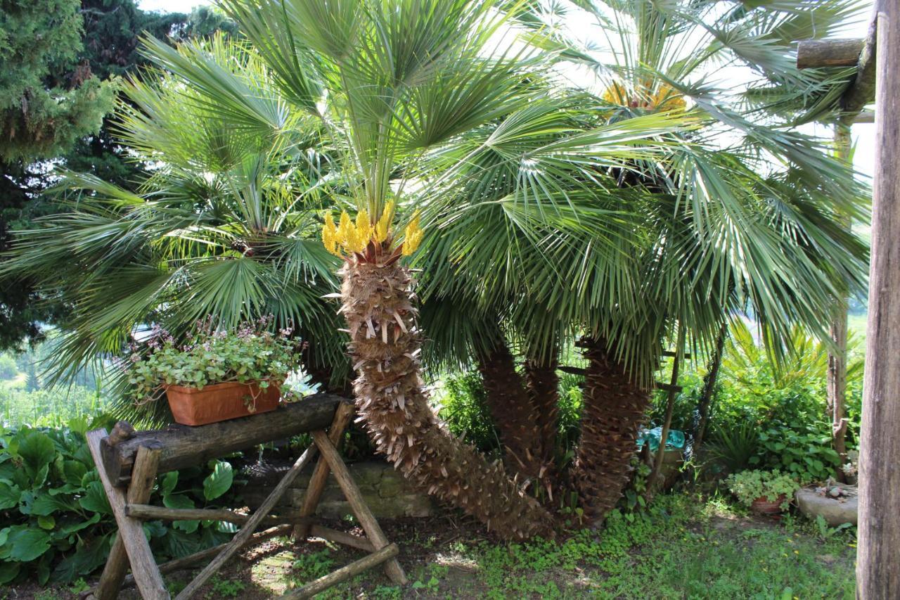 Agriturismo La Rovere Cossano Belbo Zewnętrze zdjęcie